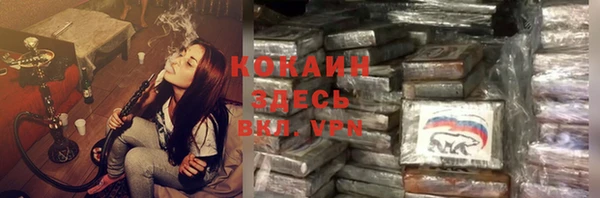 таблы Богородицк