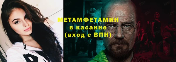 индика Белокуриха