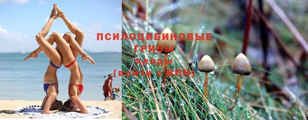 круглые Богданович
