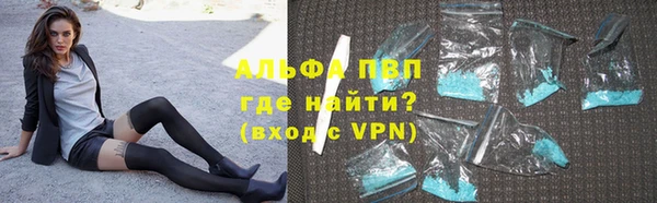 индика Белокуриха