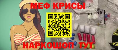 тгк Кингисепп