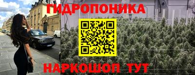 тгк Кингисепп