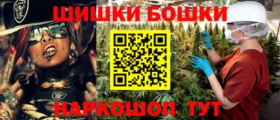 тгк Кингисепп