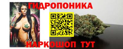 тгк Кингисепп