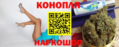 тгк Кингисепп