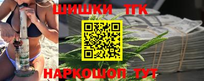 тгк Кингисепп