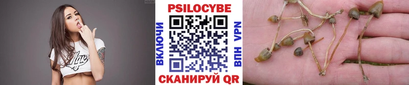 Галлюциногенные грибы MAGIC MUSHROOMS  что такое   Кушва 
