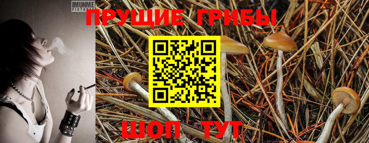 Галлюциногенные грибы GOLDEN TEACHER Кушва
