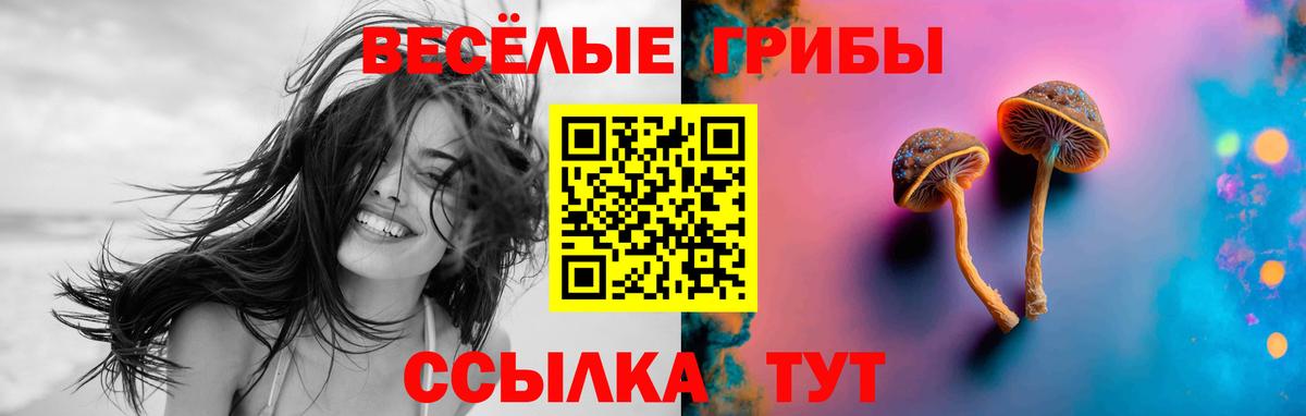 Кушва  сколько стоит  Вход с VPN  Галлюциногенные грибы MAGIC MUSHROOMS 